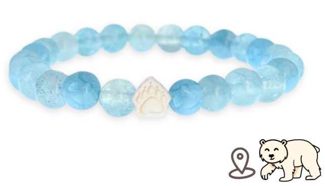 Polar Bear Tracking Bracelet